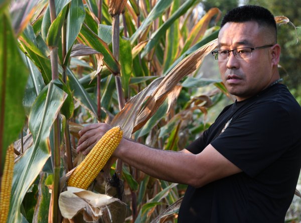 华信投资 四川：种粮大户丰产增收的“秘笈”