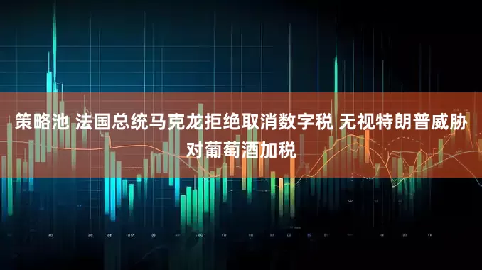策略池 法国总统马克龙拒绝取消数字税 无视特朗普威胁对葡萄酒加税